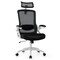 Adjustable Swivel Task Chair Ergonomic Office Chair with Adjustable Lumbar Support